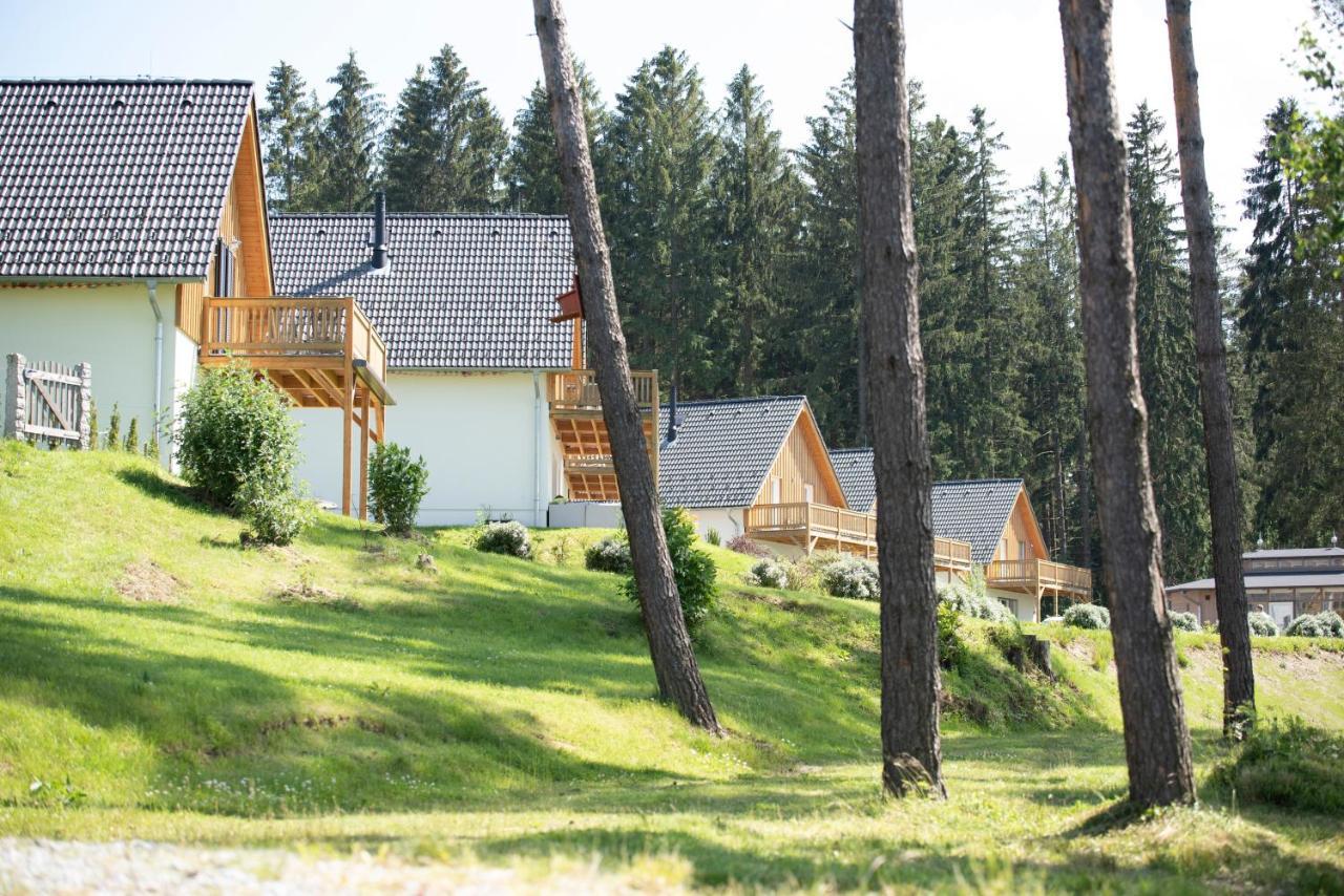Villa Lipno Club Frymburk Exterior foto